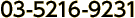 03-5216-9231