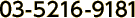 03-5216-9181