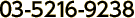 03-5216-9238